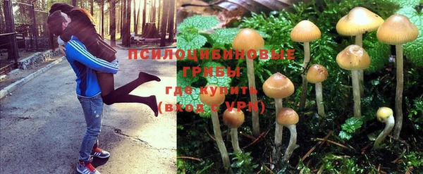MDMA Алзамай